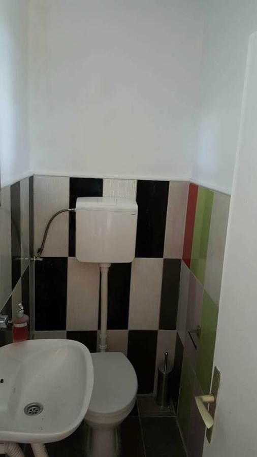 Hostel Belgrade Shungit Dragana Jeftića br 10 Exteriör bild